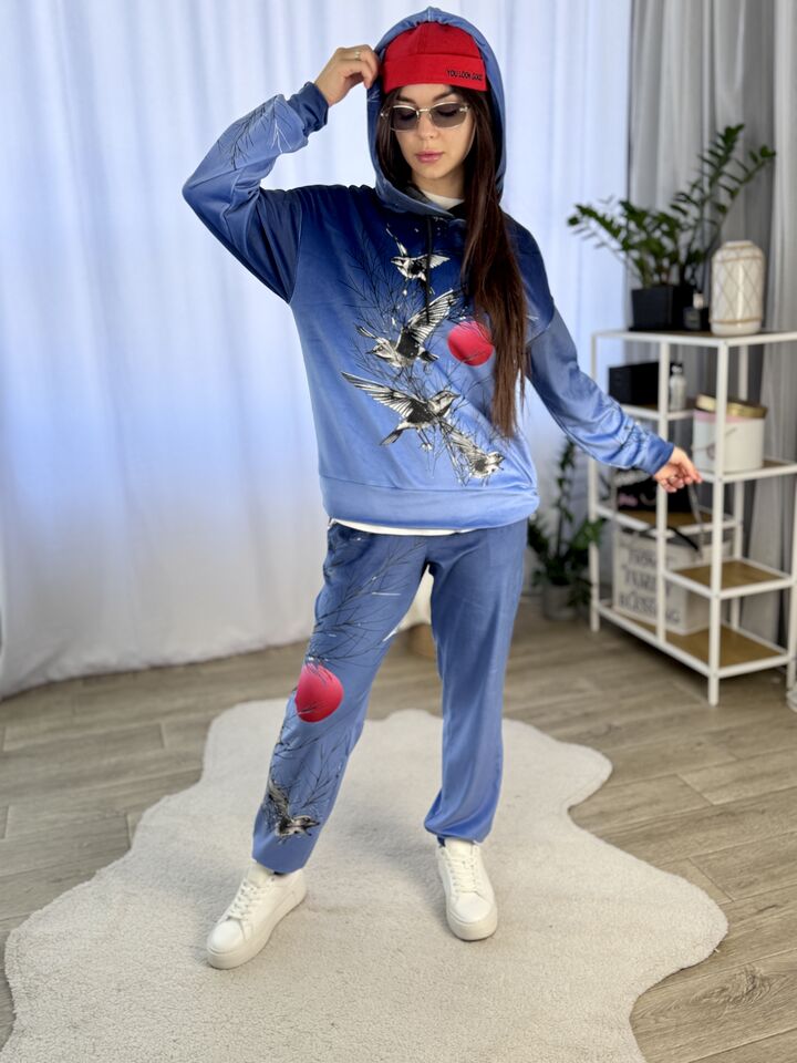 Velour women’s suit, spring/autumn, Article K-26, print 107